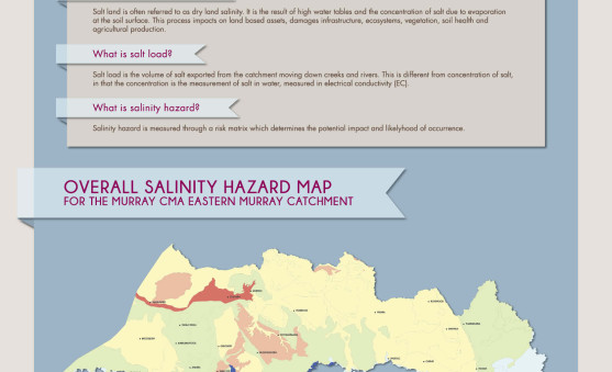 HGL_infographics posters_final_2012