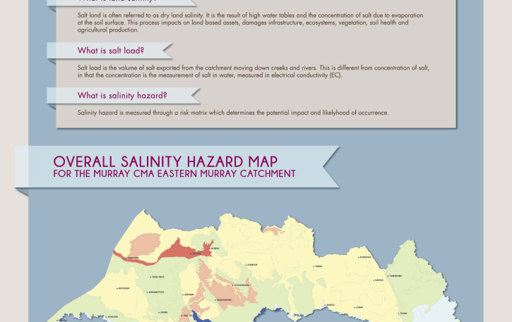 HGL_infographics posters_final_2012